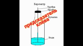 Клев рыбы прогноз на неделю в ейске