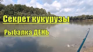 Краснодарский край рыбалка 2019