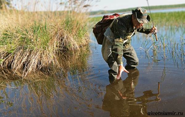 Рыбалка-на-плотву-в-разные-сезоны-и-различными-способами-6