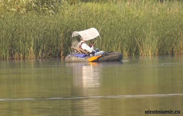 Рыбалка-на-плотву-в-разные-сезоны-и-различными-способами-8