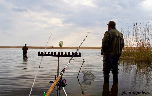 Рыбалка-на-плотву-в-разные-сезоны-и-различными-способами-7