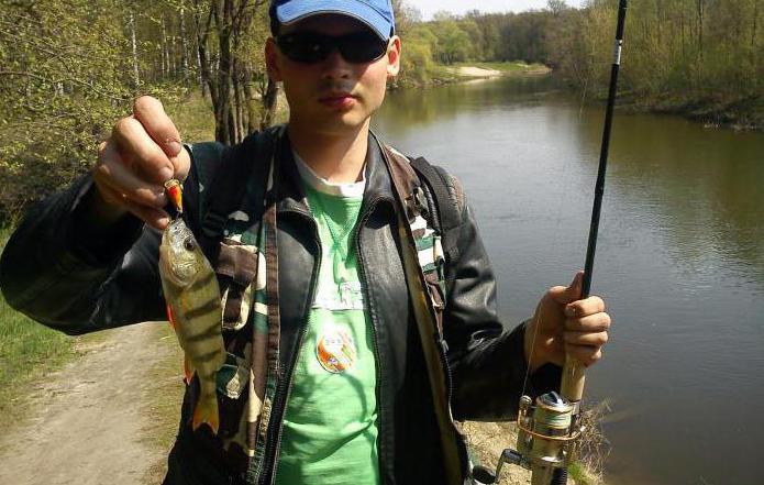 прогноз рыбалки в сумах