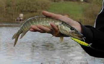 рыбалка сумы сумская область