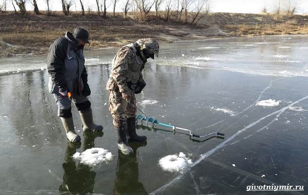 Рыболовный-календарь-особенности-рыбалки-в-декабре-3