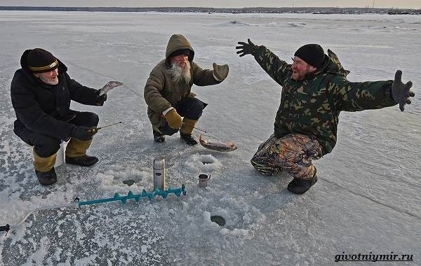 Рыболовный-календарь-особенности-рыбалки-в-декабре-20