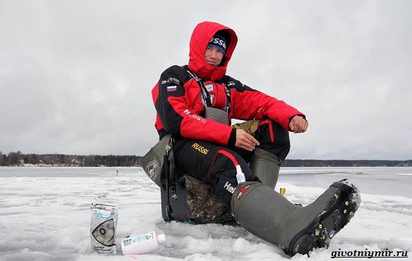 Рыболовный-календарь-особенности-рыбалки-в-декабре-15