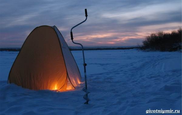 Рыболовный-календарь-особенности-рыбалки-в-декабре-13