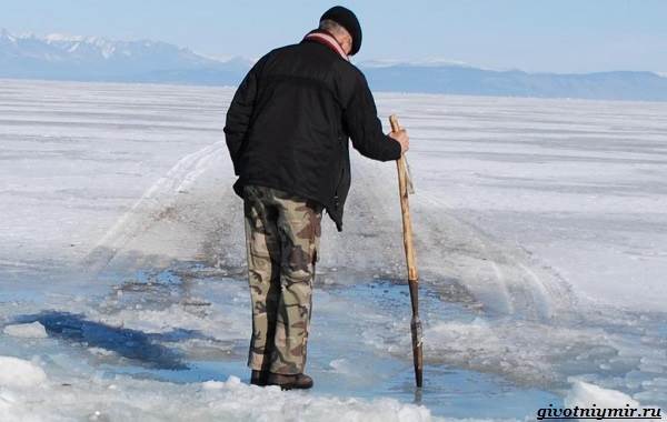 Рыболовный-календарь-особенности-рыбалки-в-декабре-2