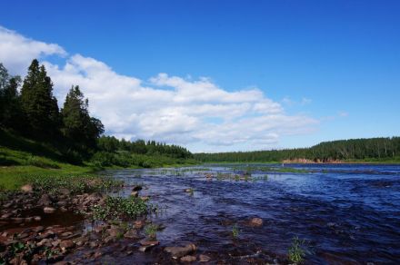 Рыболовный тур на реках Варзуга и Кица