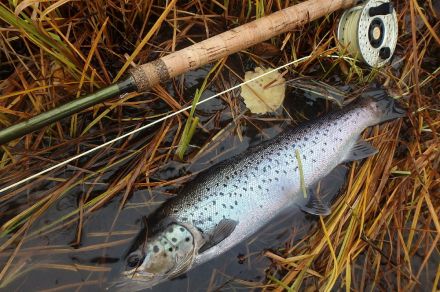 Рыболовный тур на реках Варзуга и Кица