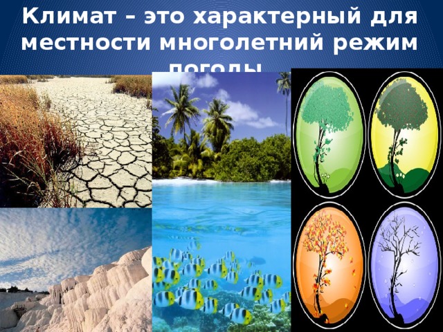 Климат – это характерный для местности многолетний режим погоды.