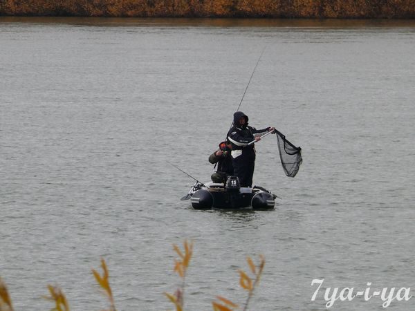 Влияние погоды на клев рыбы