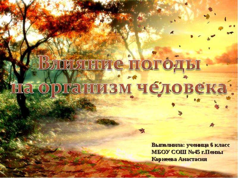 Влияние погоды на организм человека, слайд №1