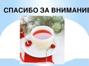 СПАСИБО ЗА ВНИМАНИЕ 