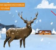 Что делать, если одноклассник ребенка «псих»?