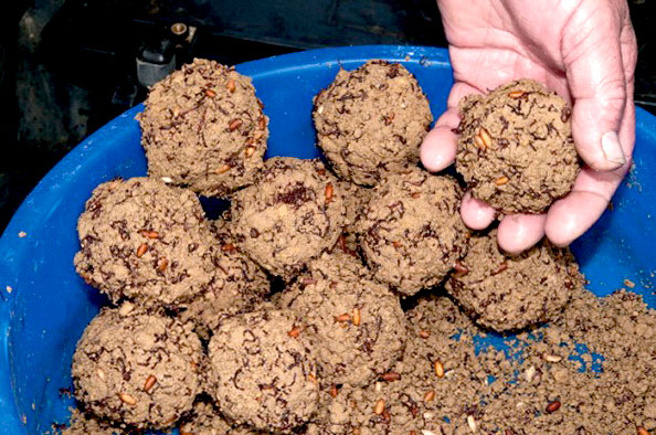 prikormka-dlja-leshha