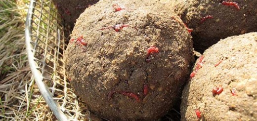 25D0-25BF-25D1-2580-25D0-25B8-25D0-25BA-25D0-25BE-25D1-2580-25D0-25BC-25D0-25BA-25D0-25B0-25D0-25BB-25D0-25B5-25D1-2589-25D0-25B0-520x245