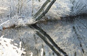 Январь — народные приметы о погоде, о природе, на урожай