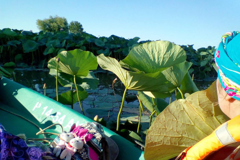 Отзыв от Анны