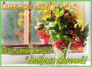 Душевные пожелания с Добрым осенним утром в картинках! Красивые пожелания доброго утра и хорошего дня.