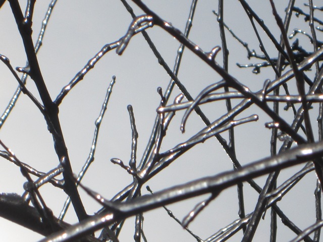 Февраль - народные приметы