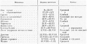 Гречиха как медонос: характеристика, при какой температуре выделяет нектар, сколько цветёт гречка для медосбора, сколько килограмм с