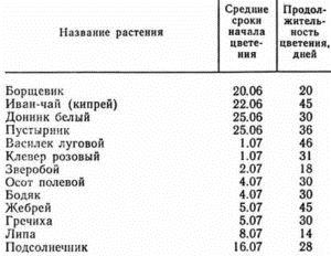 Гречиха как медонос: характеристика, при какой температуре выделяет нектар, сколько цветёт гречка для медосбора, сколько килограмм с