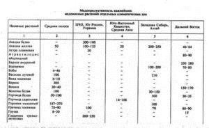 Гречиха как медонос: характеристика, при какой температуре выделяет нектар, сколько цветёт гречка для медосбора, сколько килограмм с
