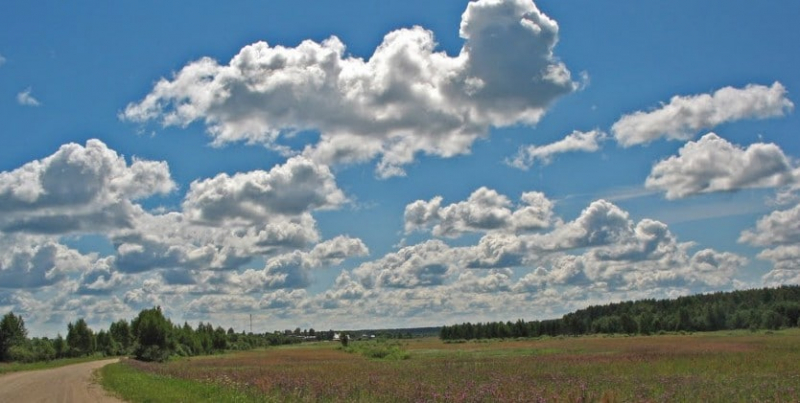 Какие существуют народные приметы по предсказанию погоды?