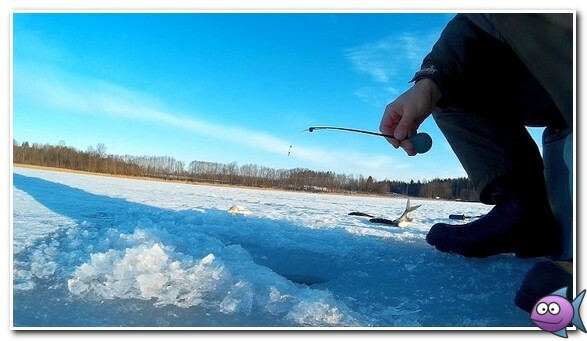 lovlja-plotvy-v-janvare-2