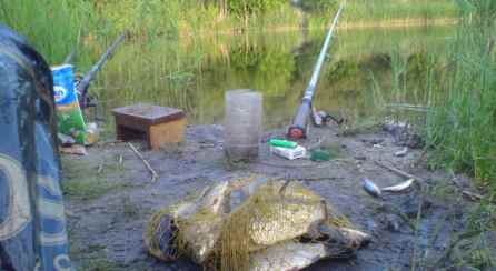 Влияние ветра на клёв - На рыбалке!