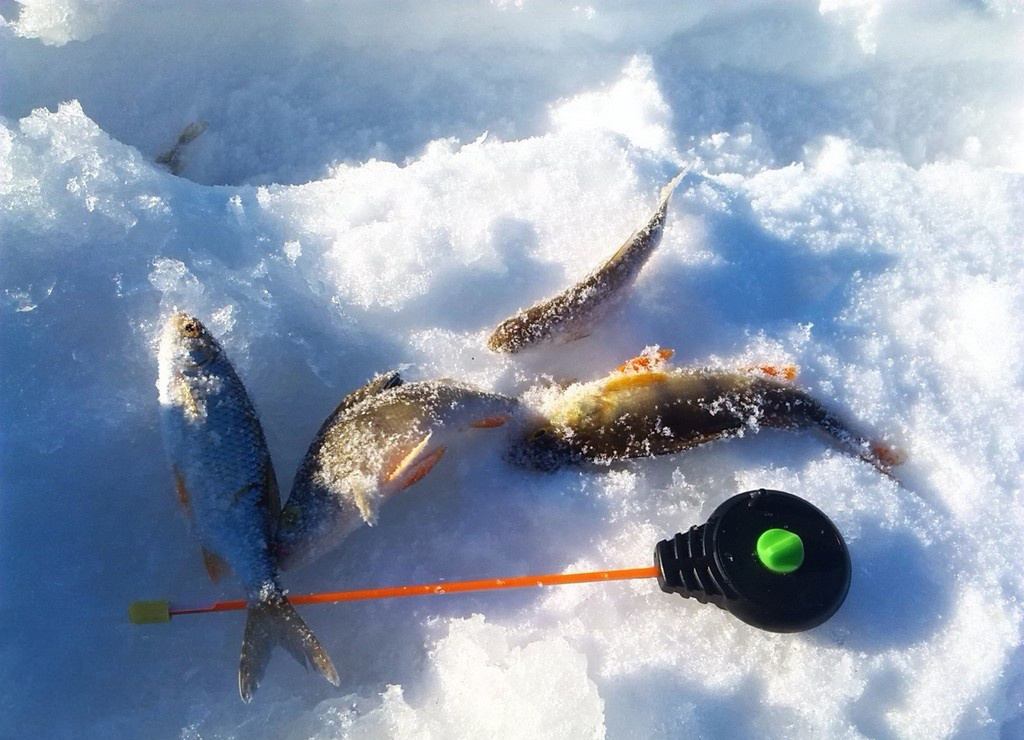 Рыбалка зимой