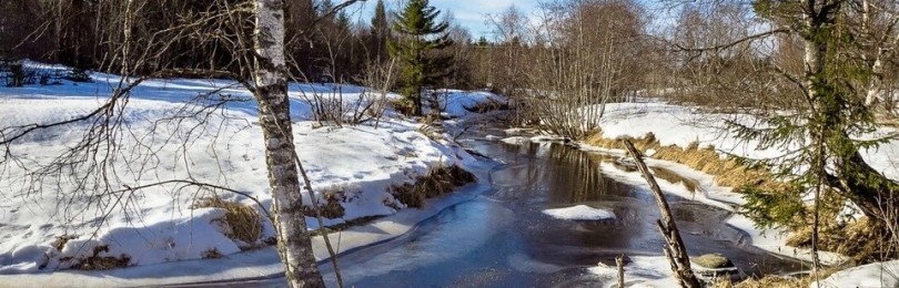 Календарь примет марта на каждый день: на погоду, на свадьбу и другие суеверия