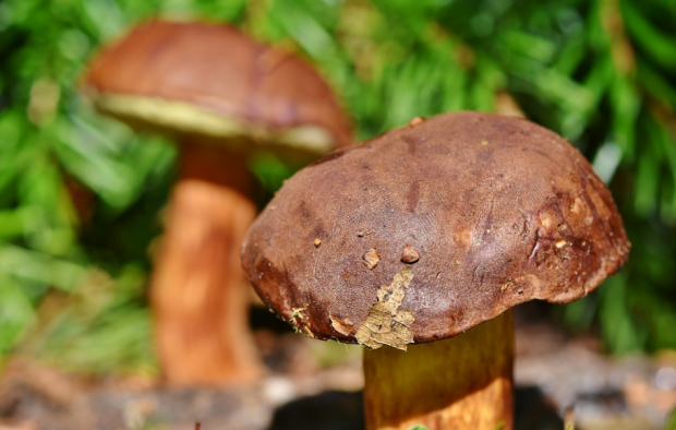 Народные приметы октября по дням – погода, природа, праздники