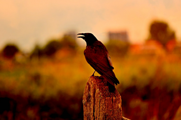 Народные приметы октября по дням – погода, природа, праздники