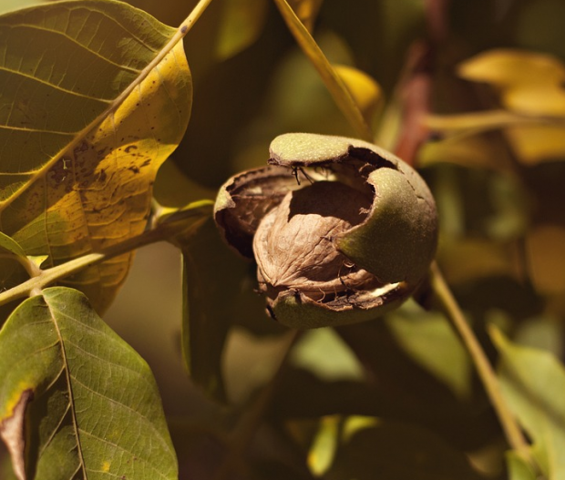 Народные приметы октября по дням – погода, природа, праздники