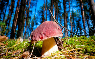 Народные приметы октября по дням – погода, природа, праздники