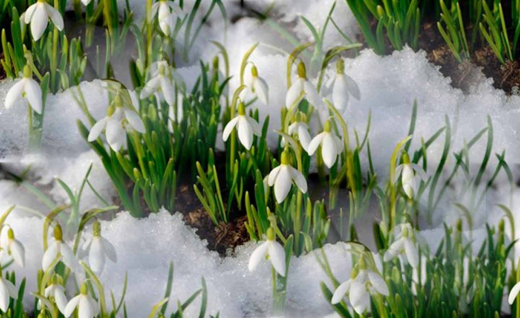 Народные приметы про погоду весной
