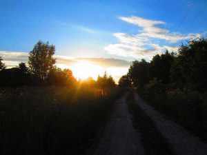 Июнь - вечер © blumgarden.ru