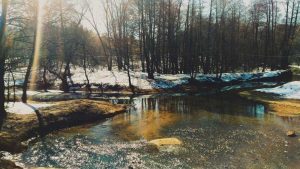 Март © blumgarden.ru