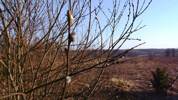 Старинные народные приметы о погоде