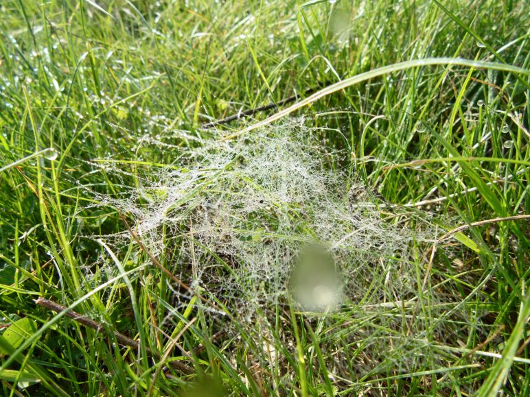 Приметы погода