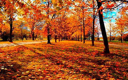 осень в парке