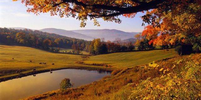 Народные приметы про погоду: природные явления, животные, растения