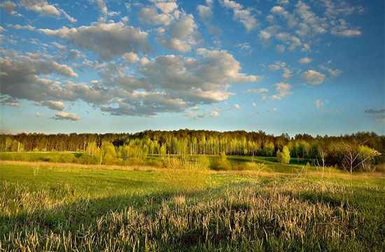 Народные приметы на Троицу на погоду, традиции и обряды для желающих забеременеть
