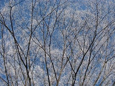 прогноз погоды по народным приметам 