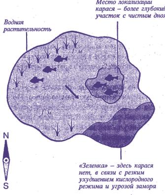 Ловля карася летом при различных погодных условиях - На рыбалке!