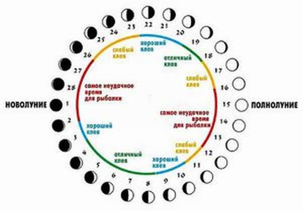 Погода для рыбалки