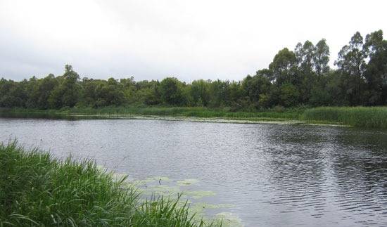 Пасмурно. Легкий ветерок