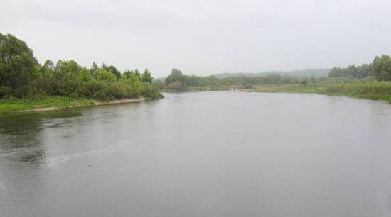 Пасмурно. Морось